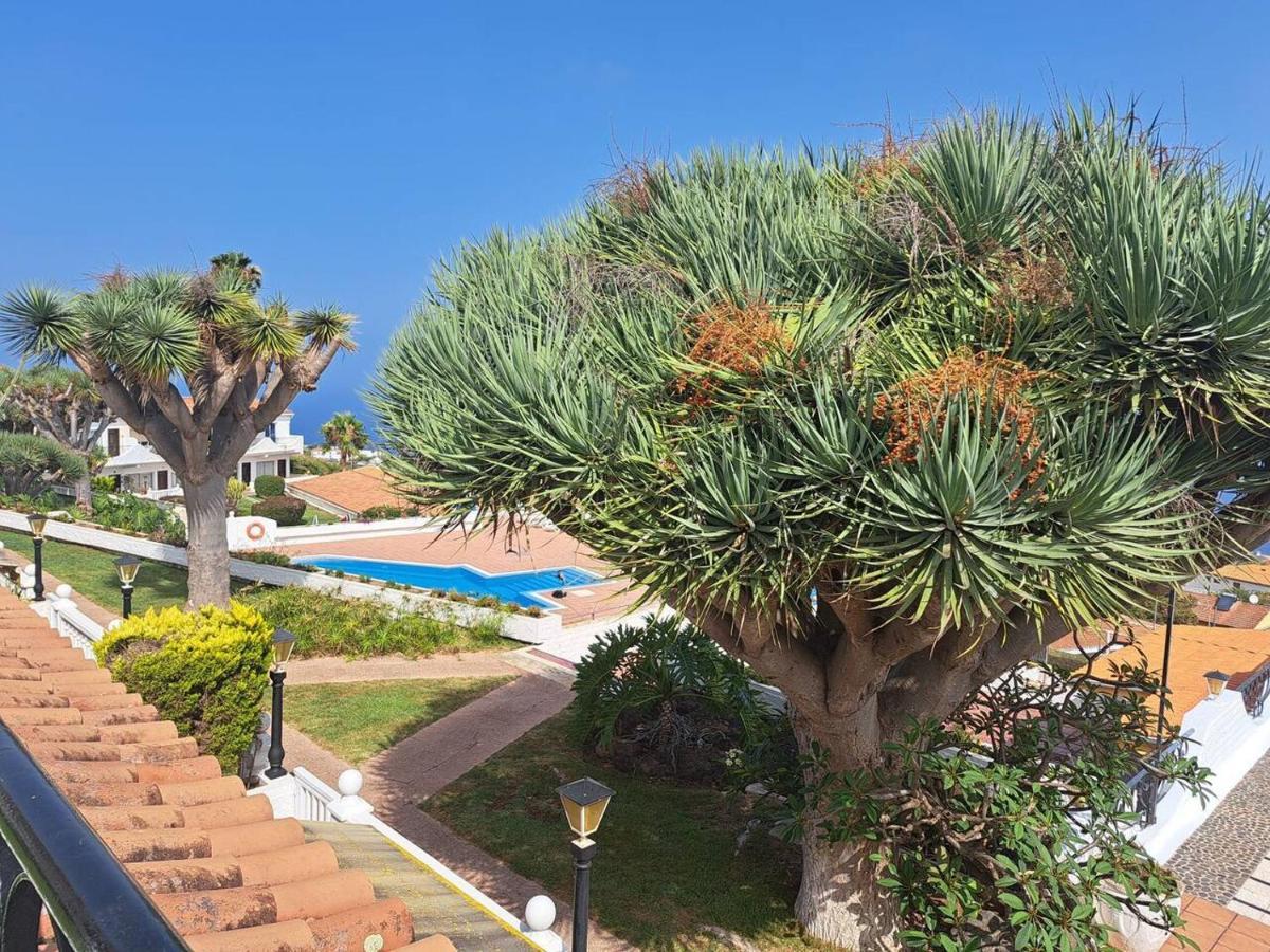Sunny Tenerife Apartment - Ocean Views Tacoronte Zewnętrze zdjęcie